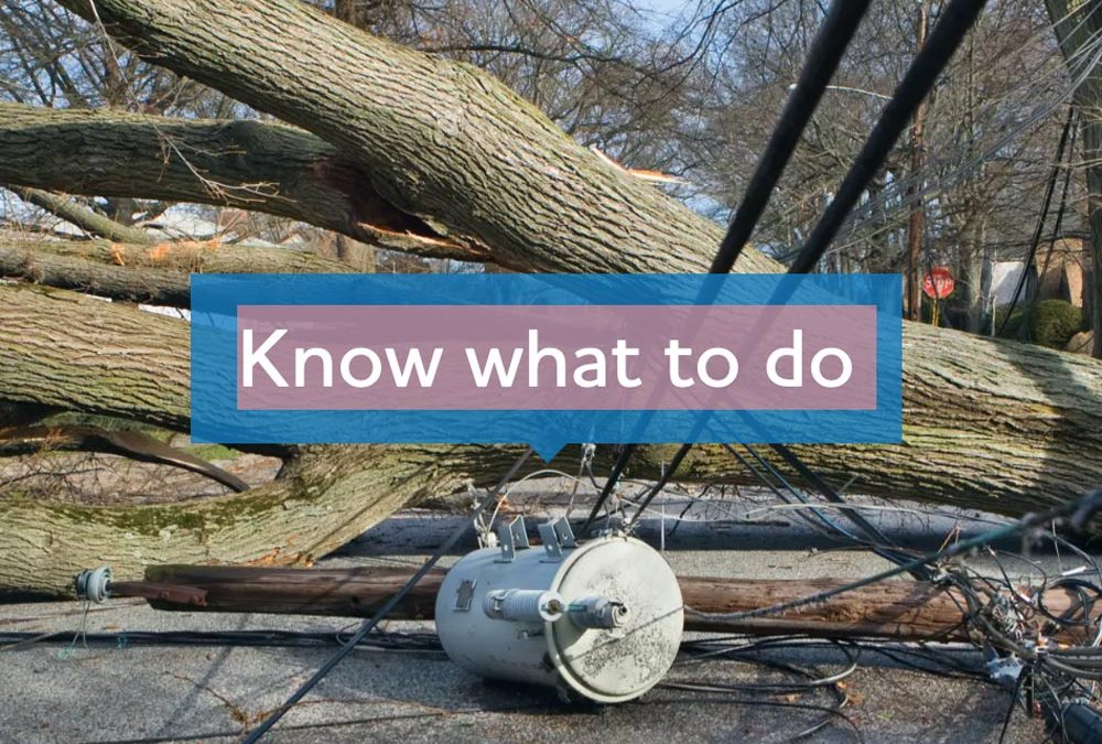 Stay in your vehicle – it could save your life