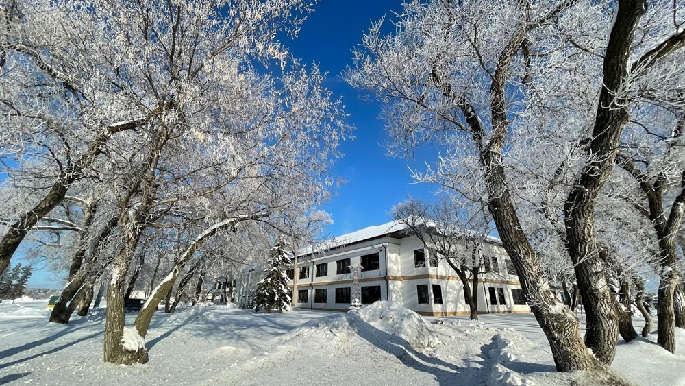 IN PICTURES: Hoar frost dresses Base trees
