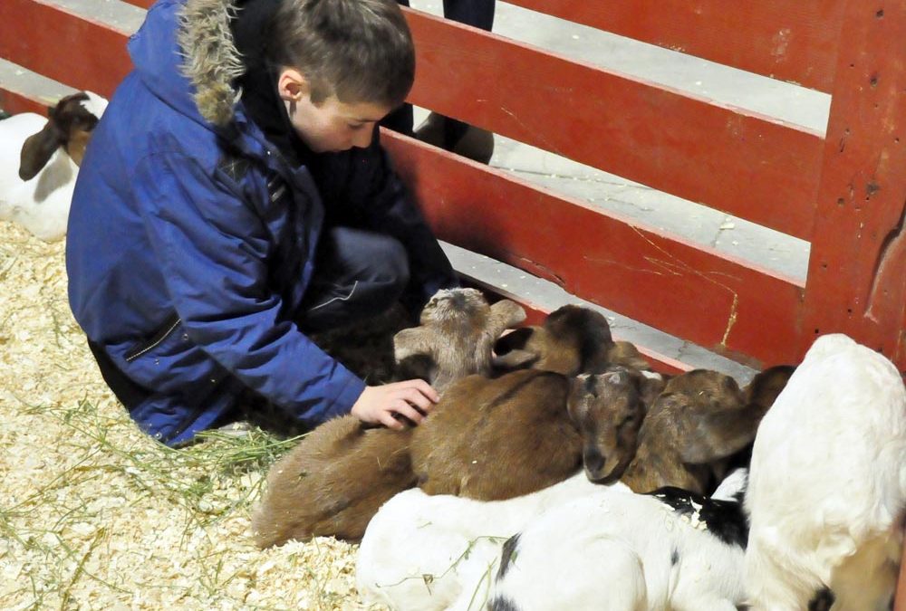 PHOTO ESSAY: Easterfest petting zoo