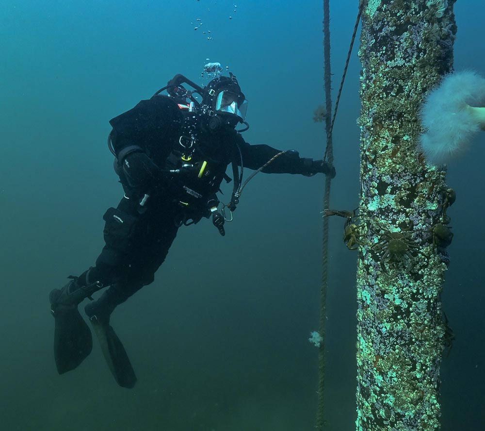 Navy-diving MCpl Brandon Liddy
