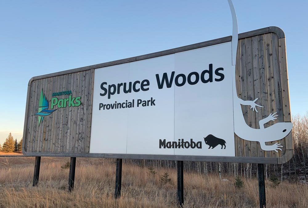 New to CFB Shilo — Hikers will enjoy exploring Spruce Woods Provincial Park