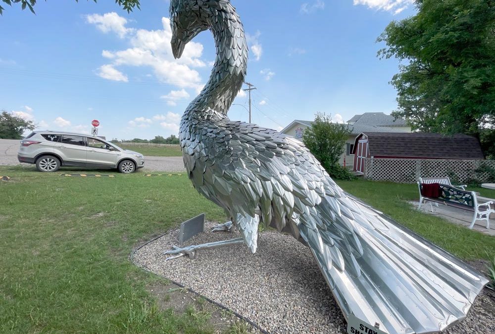 Roaming peacocks in Manitoba greet visitors to quaint town called Souris
