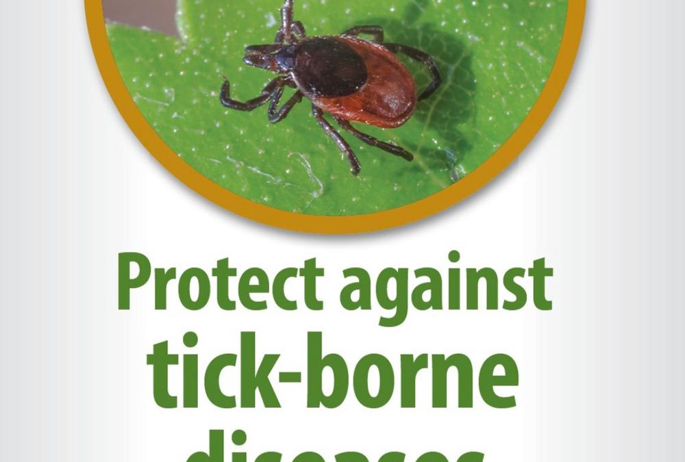 How do you protect yourself, child plus your pets from tick-borne diseases?