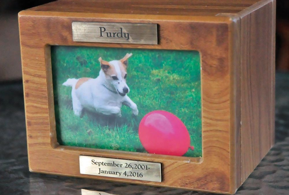 Funeral services offered for cherished family pets