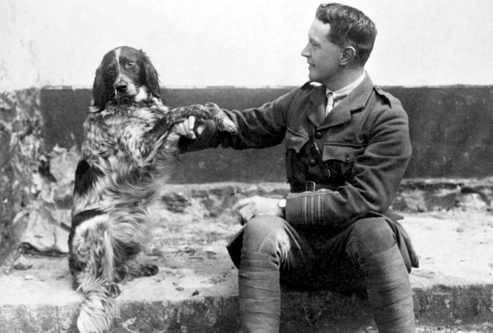 Historic poppy emblem blooms this Veteran’s Week as poetic words are held in hearts
