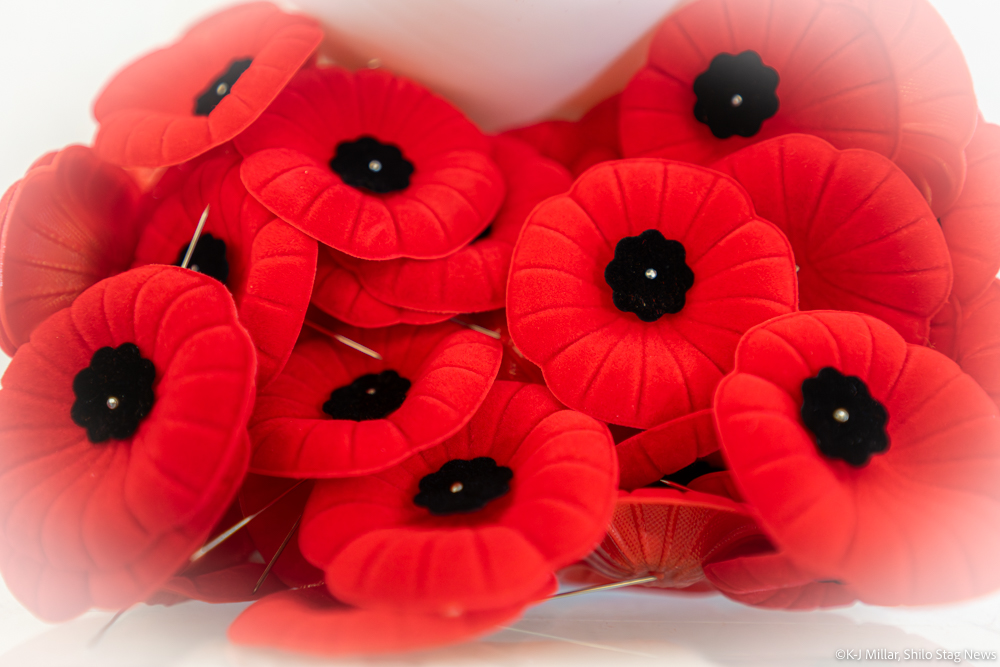 Annual poppy campaign supports remembrance, honour, and local programs